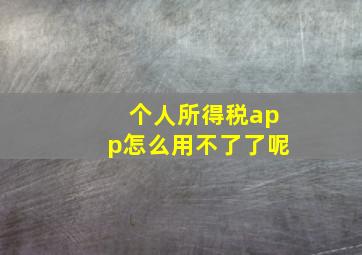 个人所得税app怎么用不了了呢