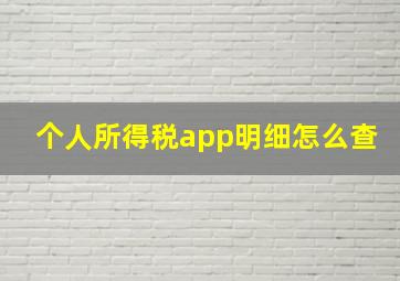 个人所得税app明细怎么查