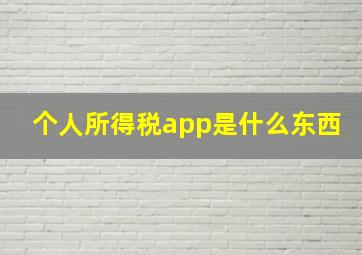 个人所得税app是什么东西