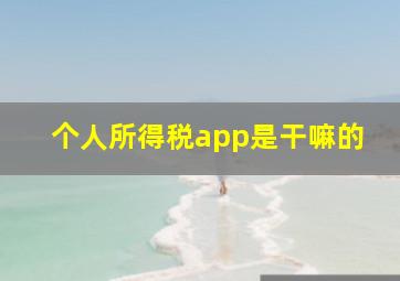 个人所得税app是干嘛的