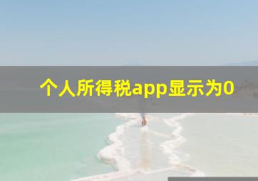 个人所得税app显示为0