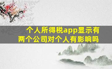 个人所得税app显示有两个公司对个人有影响吗