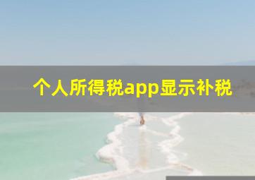 个人所得税app显示补税