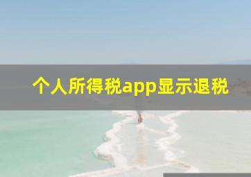 个人所得税app显示退税