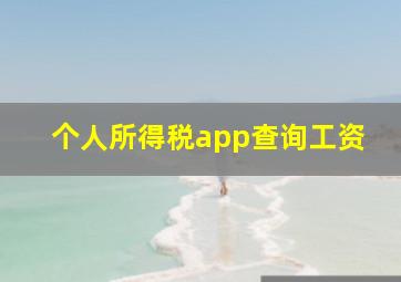 个人所得税app查询工资