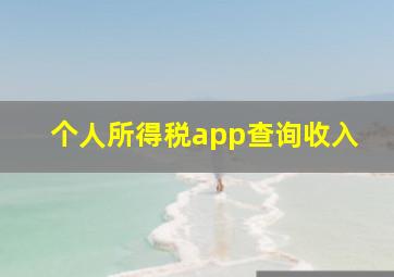 个人所得税app查询收入