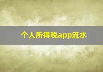 个人所得税app流水