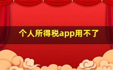 个人所得税app用不了