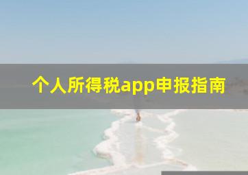 个人所得税app申报指南