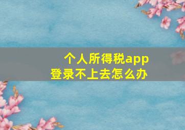 个人所得税app登录不上去怎么办