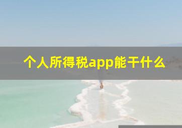 个人所得税app能干什么