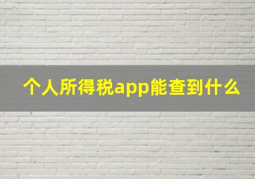 个人所得税app能查到什么