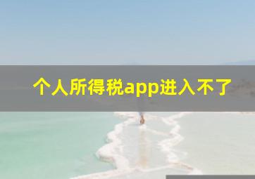 个人所得税app进入不了