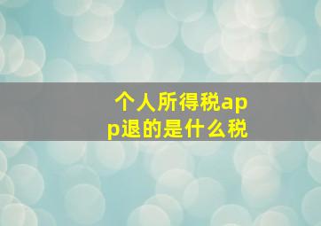 个人所得税app退的是什么税