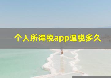 个人所得税app退税多久