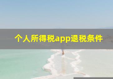 个人所得税app退税条件