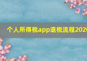 个人所得税app退税流程2020