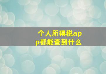 个人所得税app都能查到什么