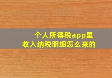 个人所得税app里收入纳税明细怎么来的