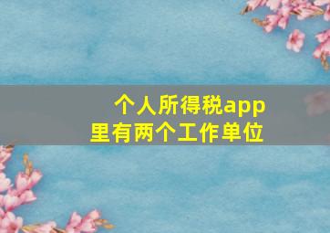 个人所得税app里有两个工作单位