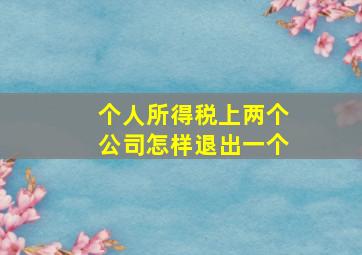 个人所得税上两个公司怎样退出一个