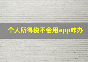 个人所得税不会用app咋办