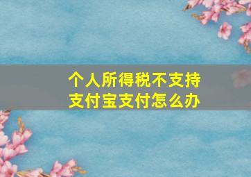 个人所得税不支持支付宝支付怎么办