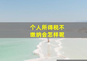 个人所得税不缴纳会怎样呢