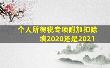 个人所得税专项附加扣除填2020还是2021