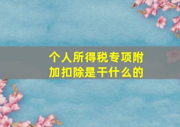 个人所得税专项附加扣除是干什么的