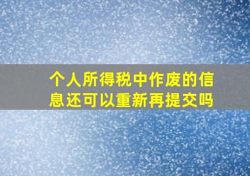 个人所得税中作废的信息还可以重新再提交吗