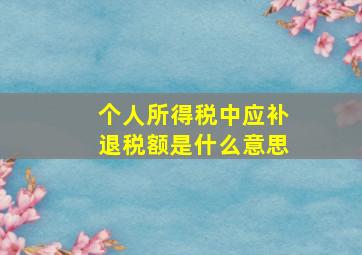 个人所得税中应补退税额是什么意思