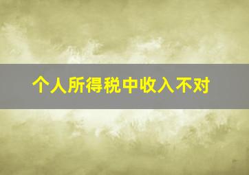 个人所得税中收入不对