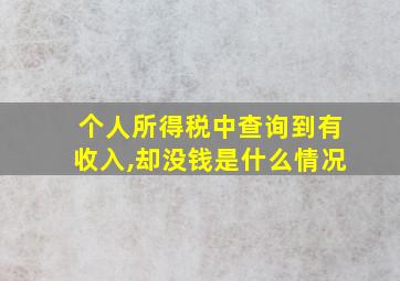 个人所得税中查询到有收入,却没钱是什么情况