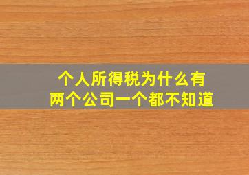 个人所得税为什么有两个公司一个都不知道