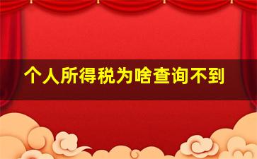 个人所得税为啥查询不到