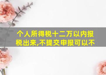 个人所得税十二万以内报税出来,不提交申报可以不