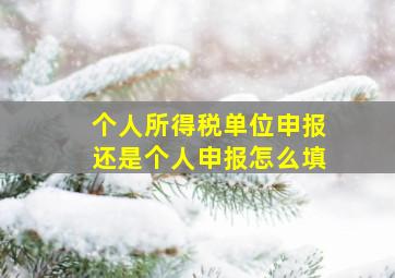 个人所得税单位申报还是个人申报怎么填