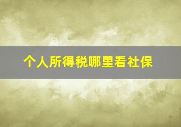 个人所得税哪里看社保