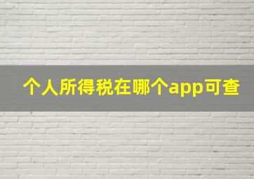 个人所得税在哪个app可查