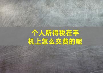 个人所得税在手机上怎么交费的呢