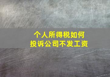 个人所得税如何投诉公司不发工资