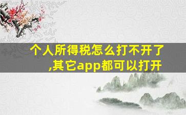 个人所得税怎么打不开了,其它app都可以打开