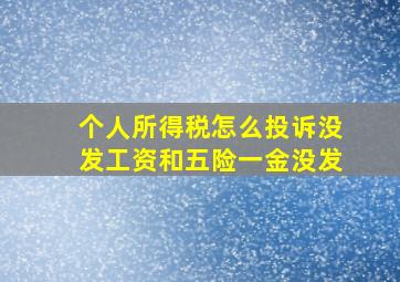 个人所得税怎么投诉没发工资和五险一金没发