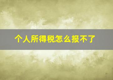 个人所得税怎么报不了