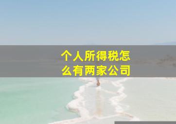 个人所得税怎么有两家公司