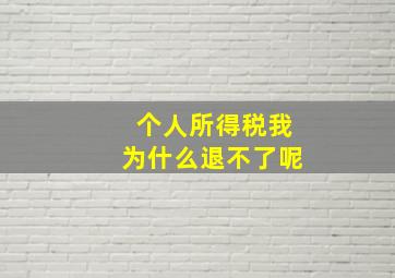 个人所得税我为什么退不了呢