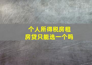 个人所得税房租房贷只能选一个吗