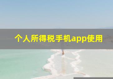 个人所得税手机app使用