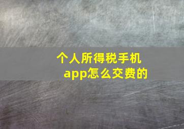 个人所得税手机app怎么交费的